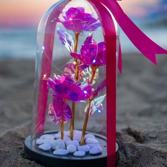 3'lü Sonsuzluk Gülü Fanusu