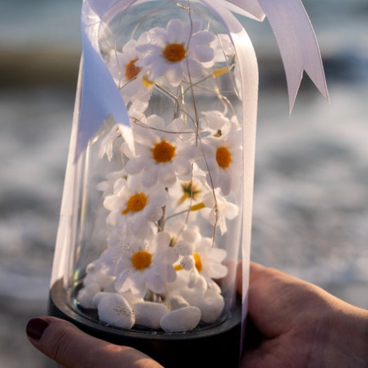 Led Işıklı Papatya Fanus Hediyelik